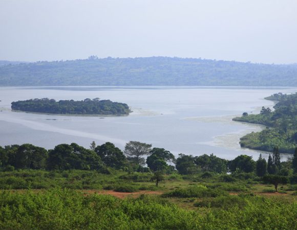 Un secteur bourré de potentialités