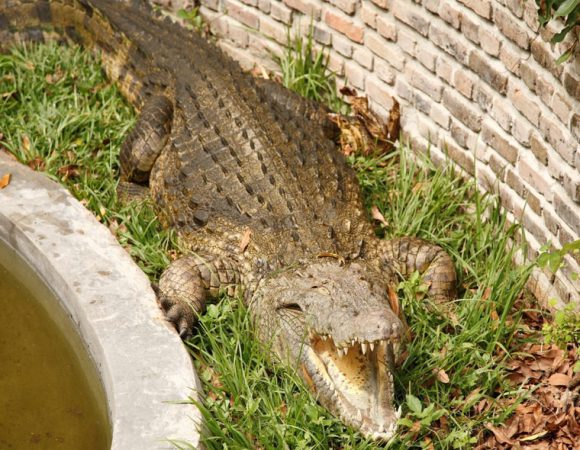 Musée vivant de Bujumbura