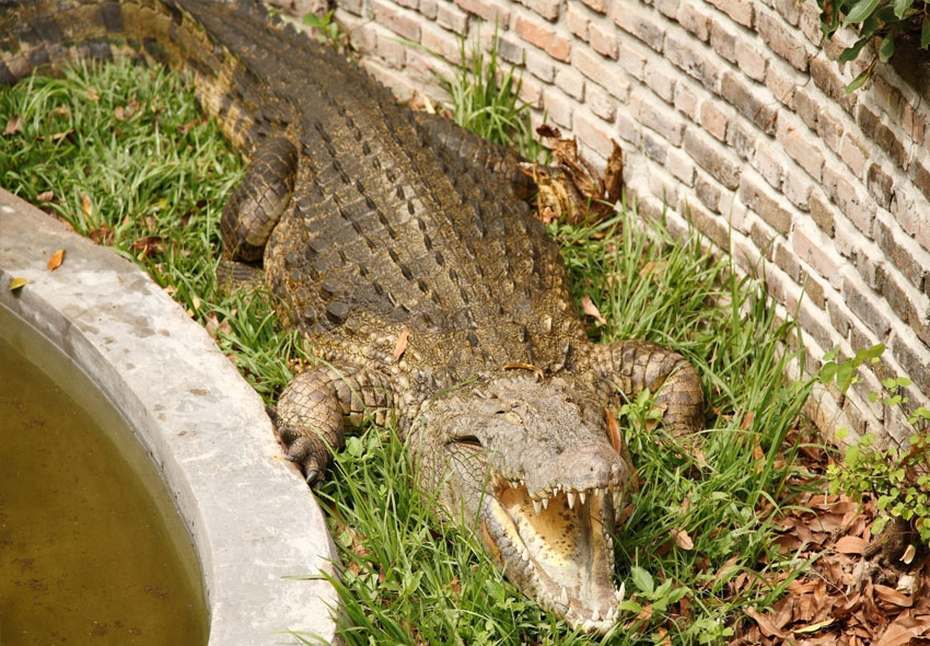 Musée vivant de Bujumbura